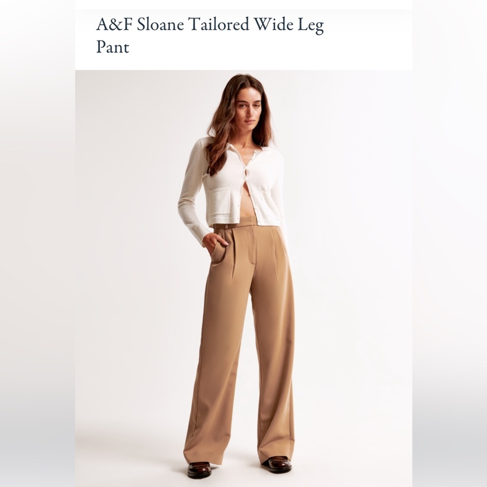 Abercrombie & Fitch Sloane Tailored Wide Leg Pant - brown